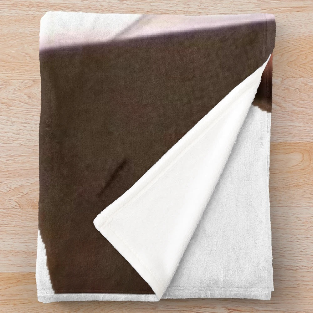 Plush office-themed blanket featuring Michael Scott from the TV show The Office