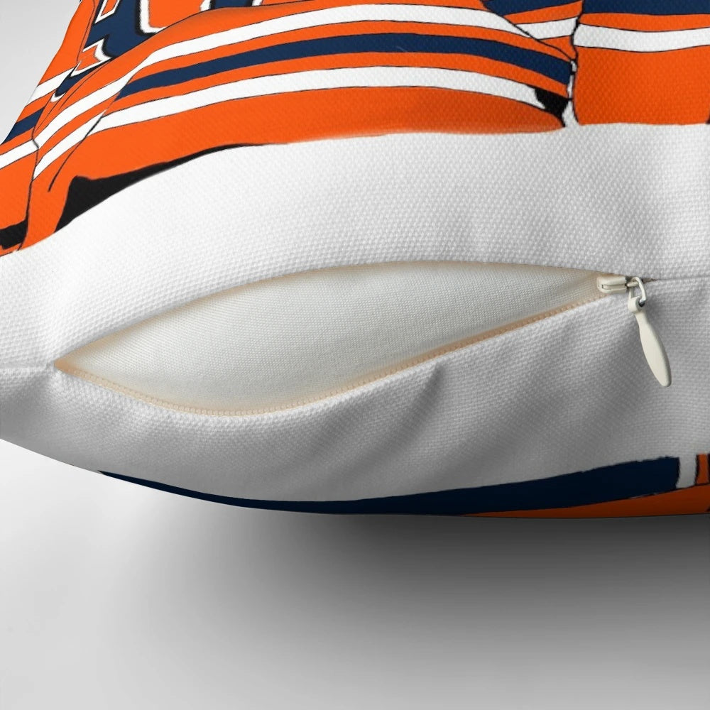 Oil-themed decorative pillow with Oilers logo and scenic mountain landscape