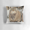 A soft, plush pillow featuring a Pallas's cat (also known as a manul) with a whimsical and grumpy expression, perfect for home decor and gift-giving.