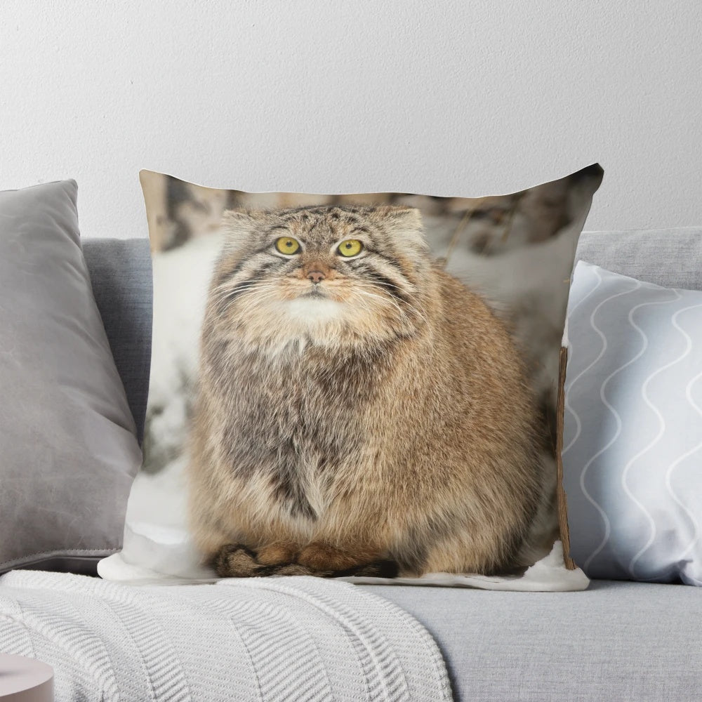 A soft, plush pillow featuring a Pallas's cat (also known as a manul) with a whimsical and grumpy expression, perfect for home decor and gift-giving.