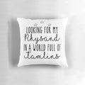 Plush pillow featuring the character Rhysand from the ACOTAR fantasy book series by Sarah J. Maas