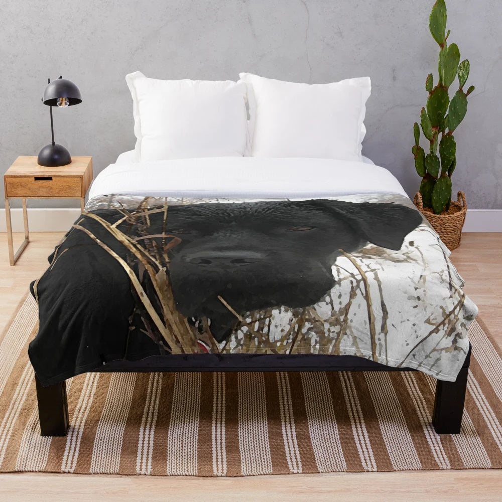 Black labrador retriever dog on a plush blanket