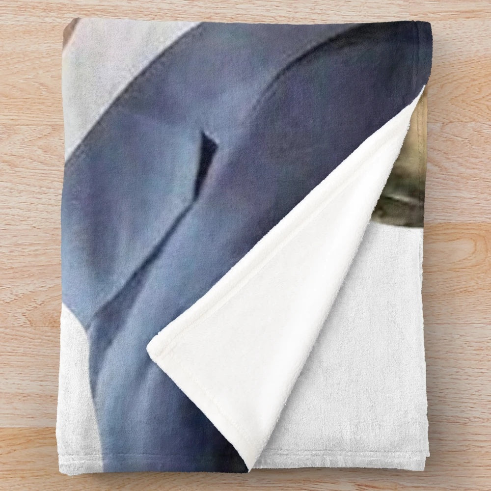 Plush blanket with images of Chris Evans and Chris Hemsworth, the popular Marvel movie stars