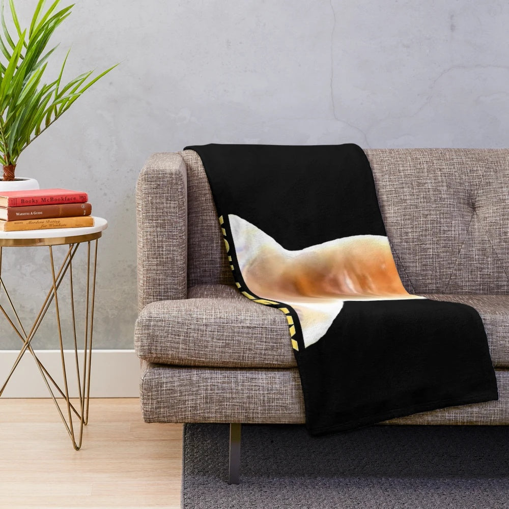 Plush blanket with LeBron James "You Are My Sunshine" meme design