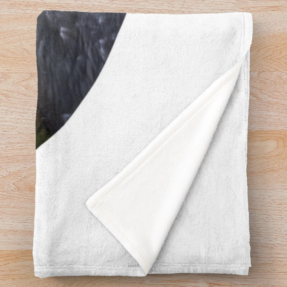 Plush blanket with image of Upper Mesa Falls in Idaho