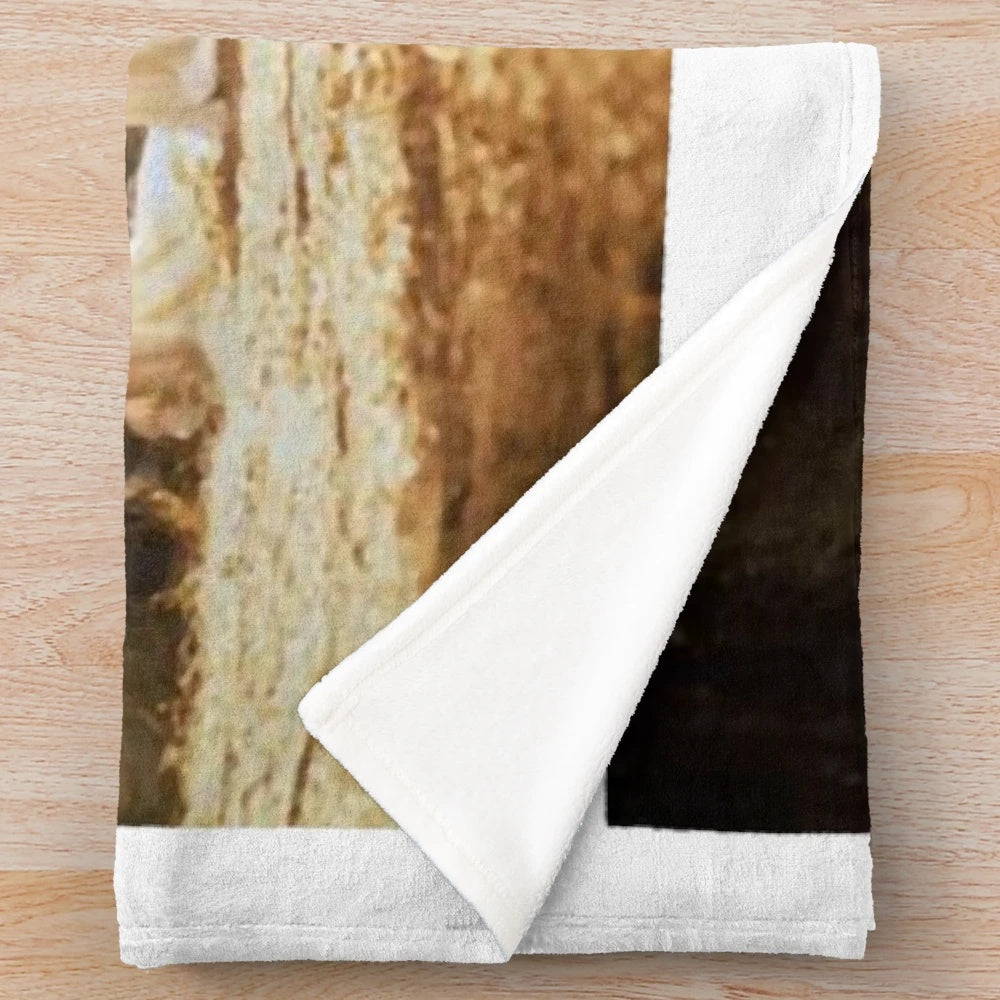 Plush blanket with impressionistic landscape inspired by the film Hanging Rock