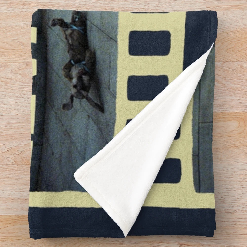 Plush blanket featuring a scene from the cult classic Swedish film "Du levande