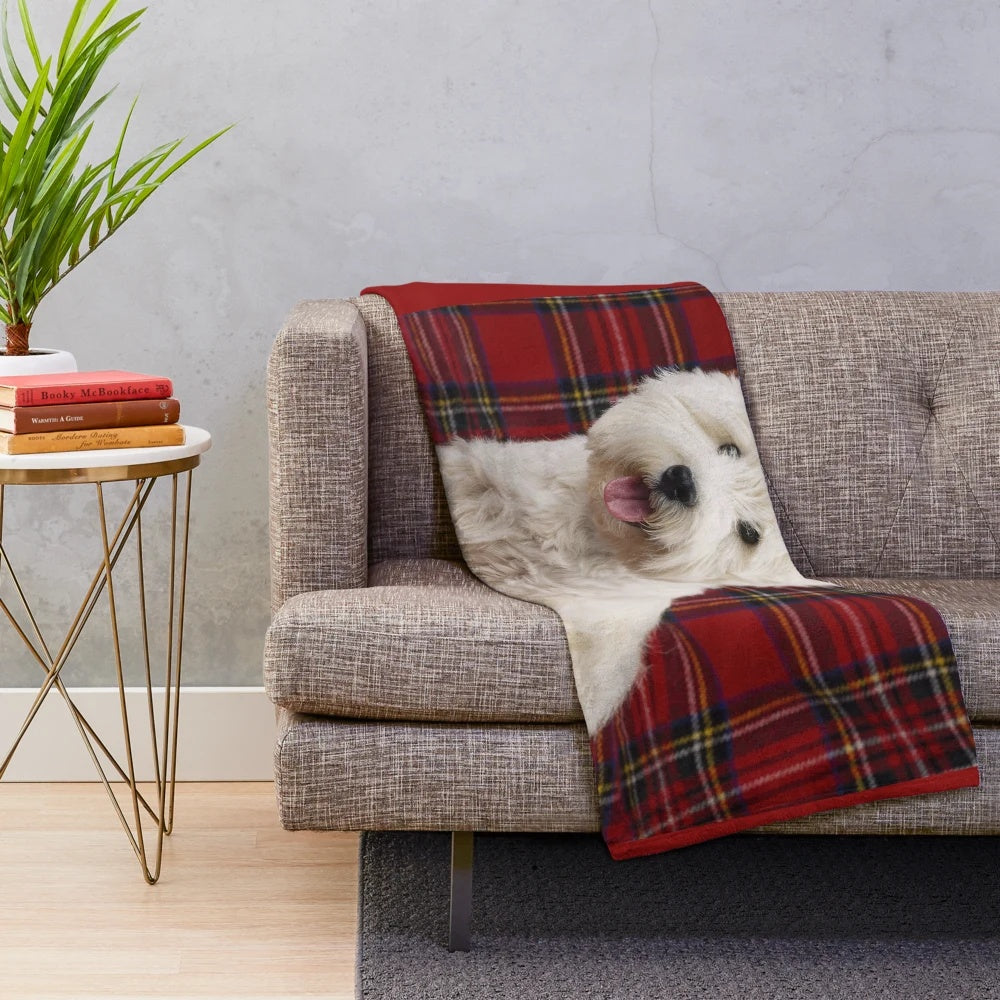 West Highland White Terrier sitting on a scotch plaid plush blanket