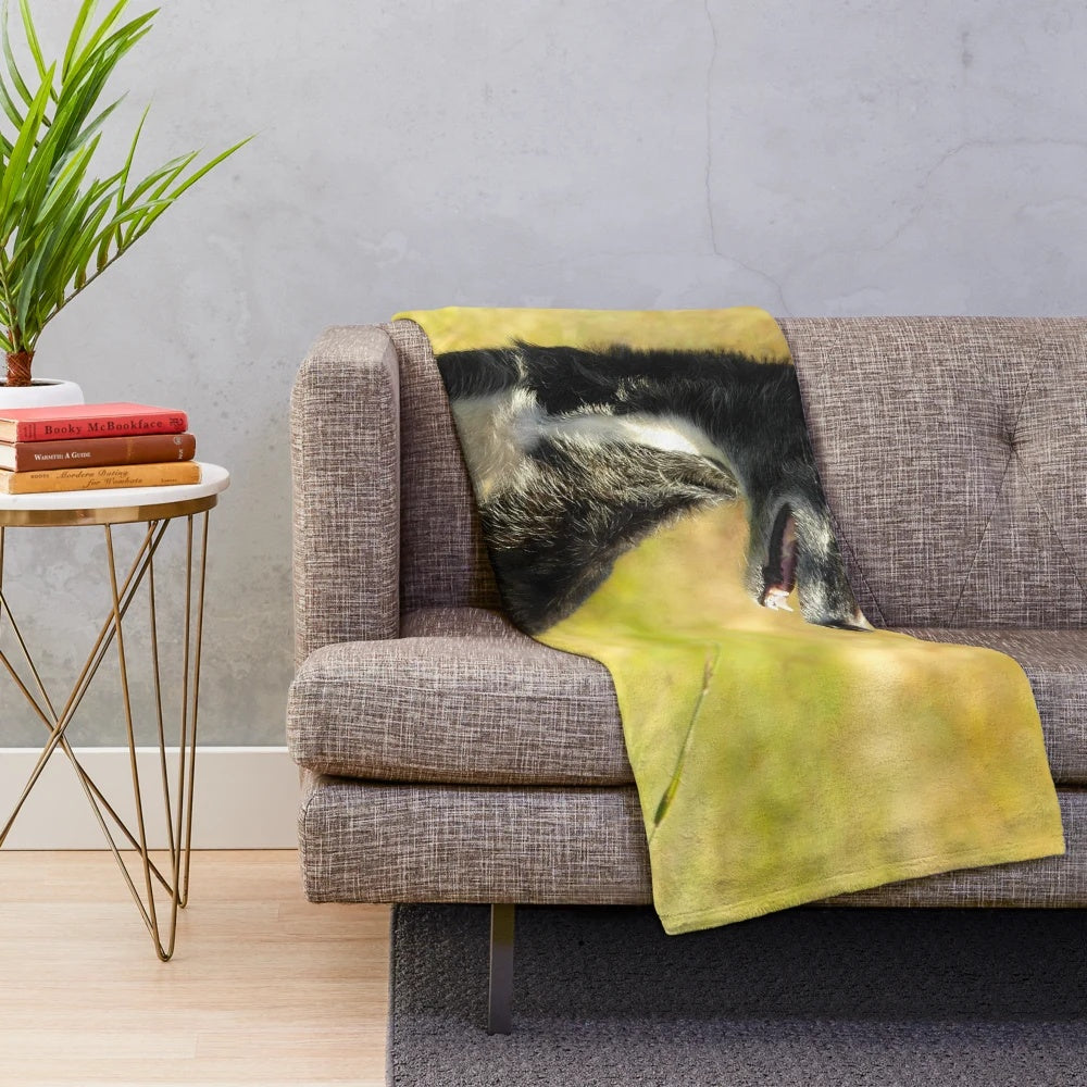 Resting lurcher dog on plush blanket with autumnal countryside background