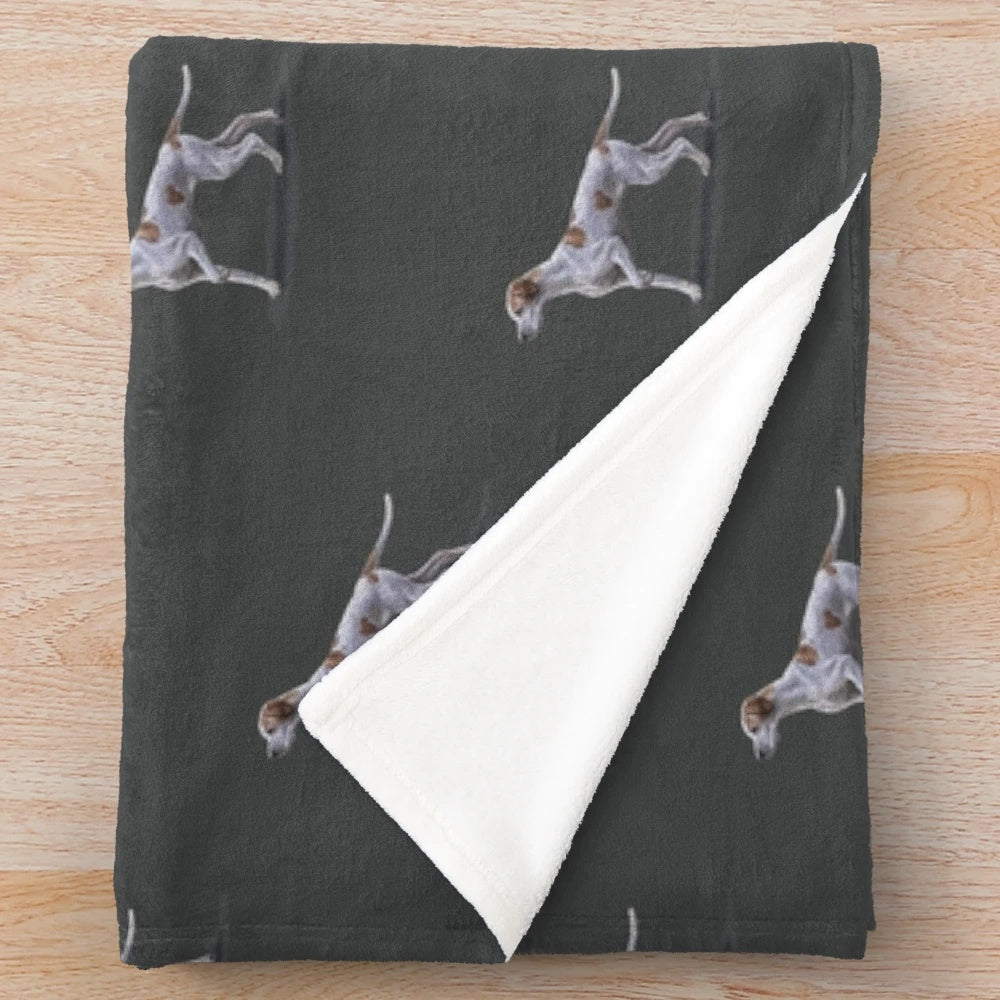 Pointer dog plush blanket