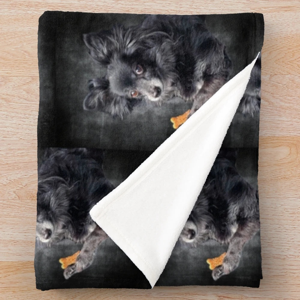 Pomchi plush blanket for pets and dog lovers