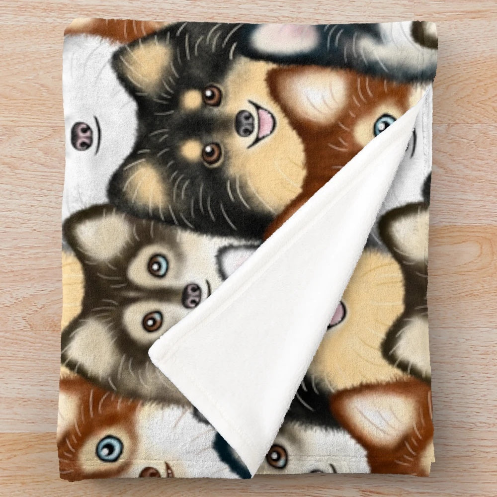 Soft and snuggly pomsky print plush blanket