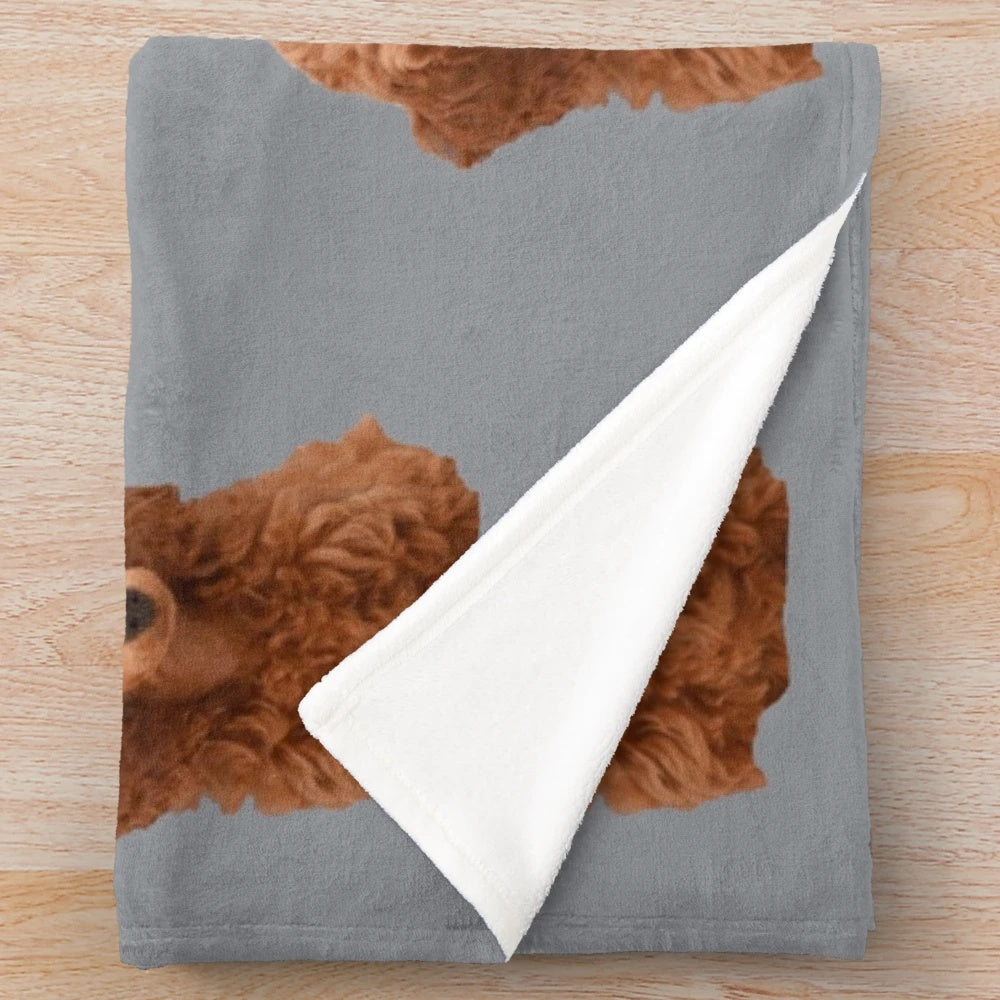 Adorable red poodle puppy plush blanket