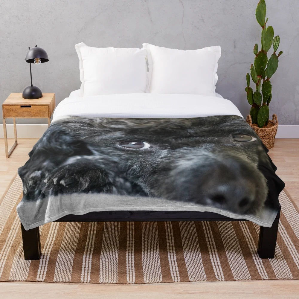 Poodle plush blanket with black and grey poodle design