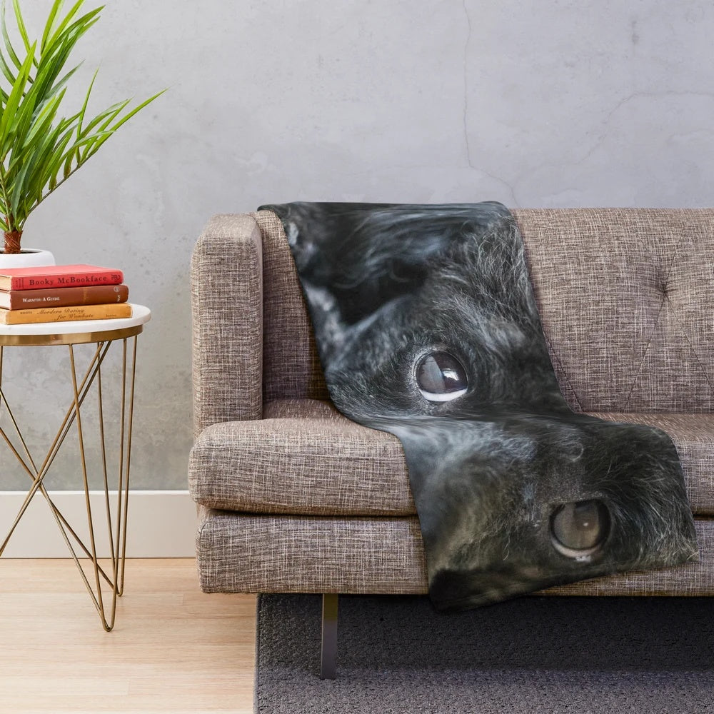 Poodle plush blanket with black and grey poodle design