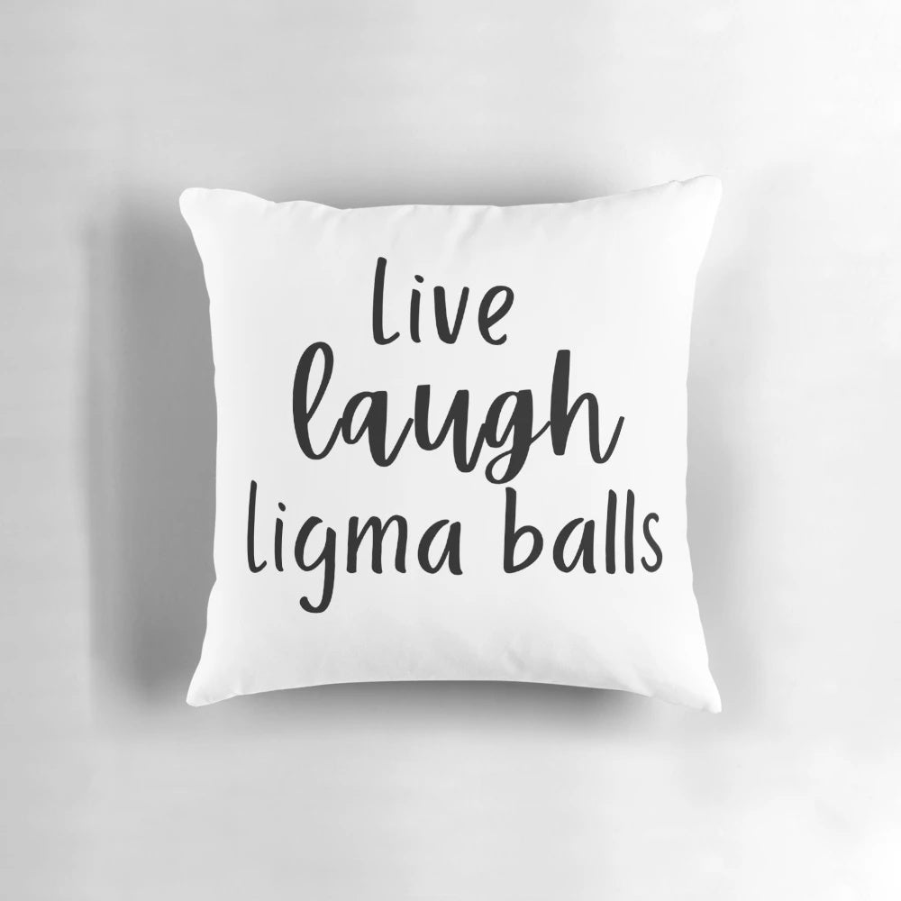 A soft, plush pillow featuring a funny and lighthearted quote