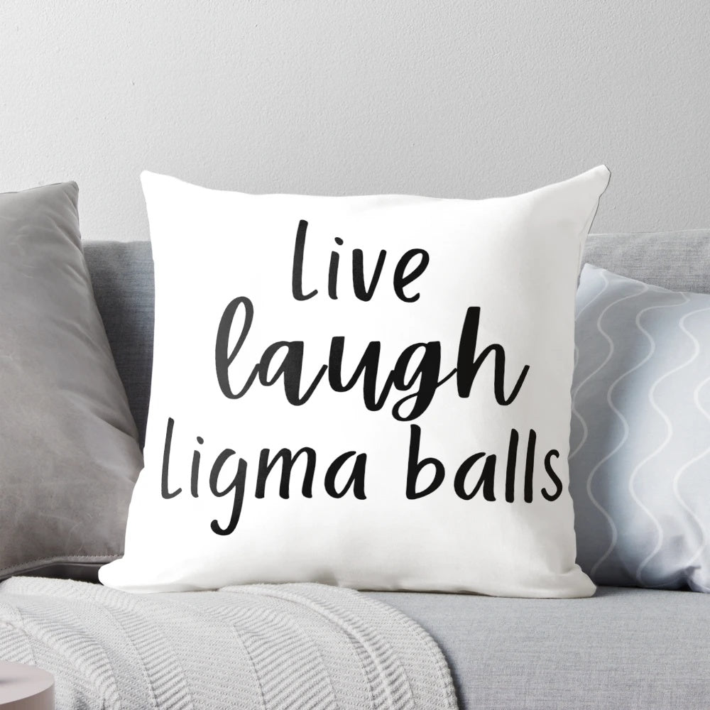 A soft, plush pillow featuring a funny and lighthearted quote