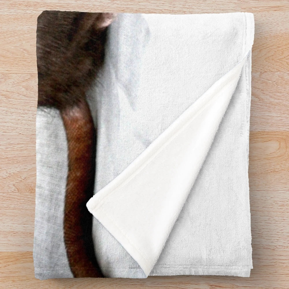 Soft and cuddly rat plush blanket