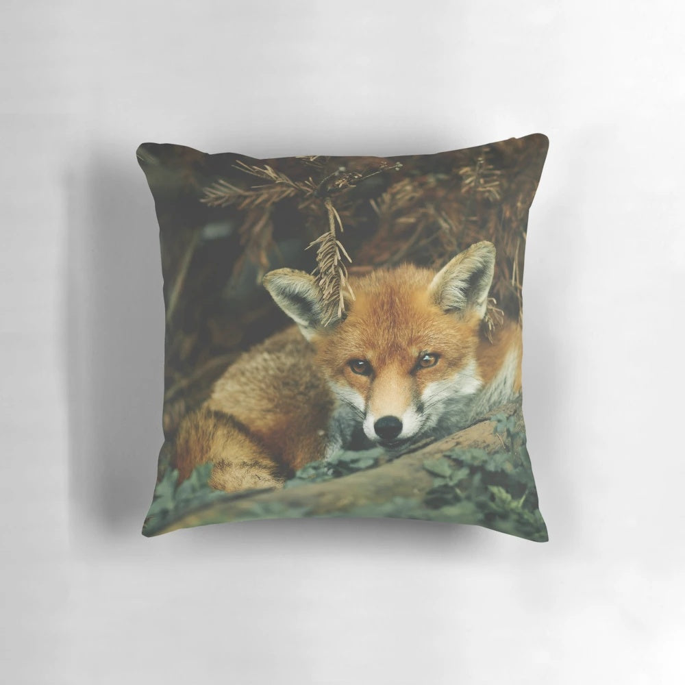 Closeup image of a sleeping red fox curled up in a forest setting