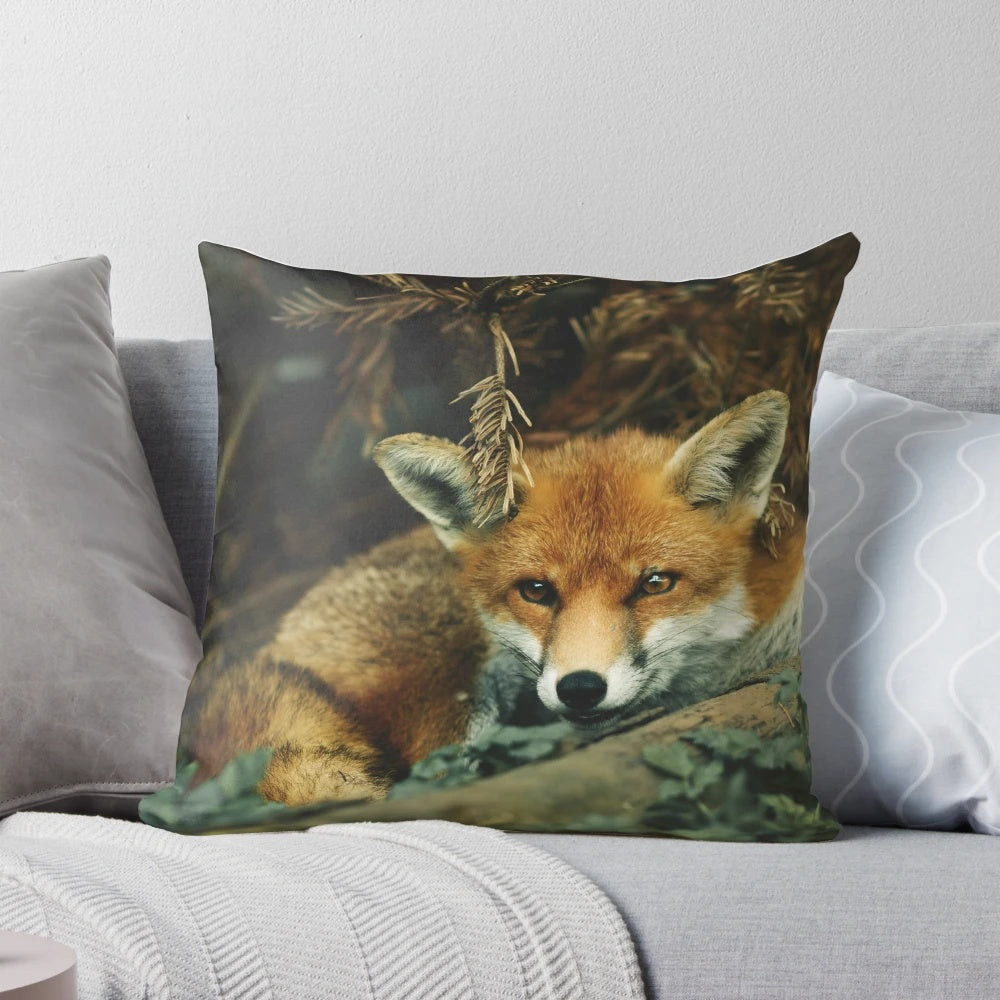 Closeup image of a sleeping red fox curled up in a forest setting