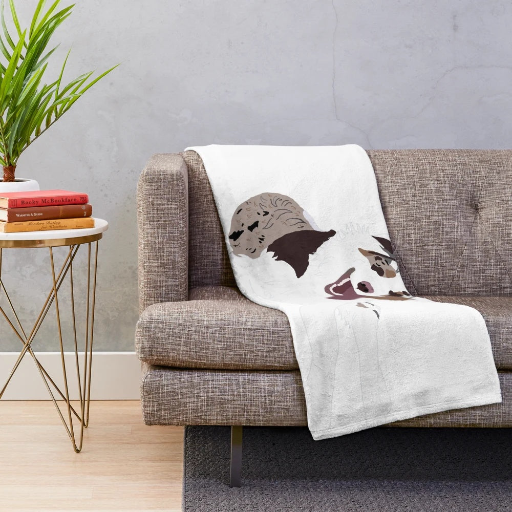 Red Merle Australian Shepherd dog on a plush blanket