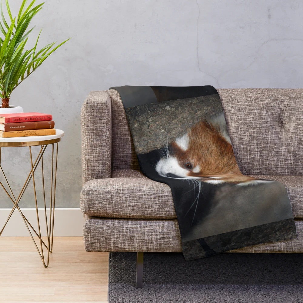 Soft and cuddly red panda plush blanket
