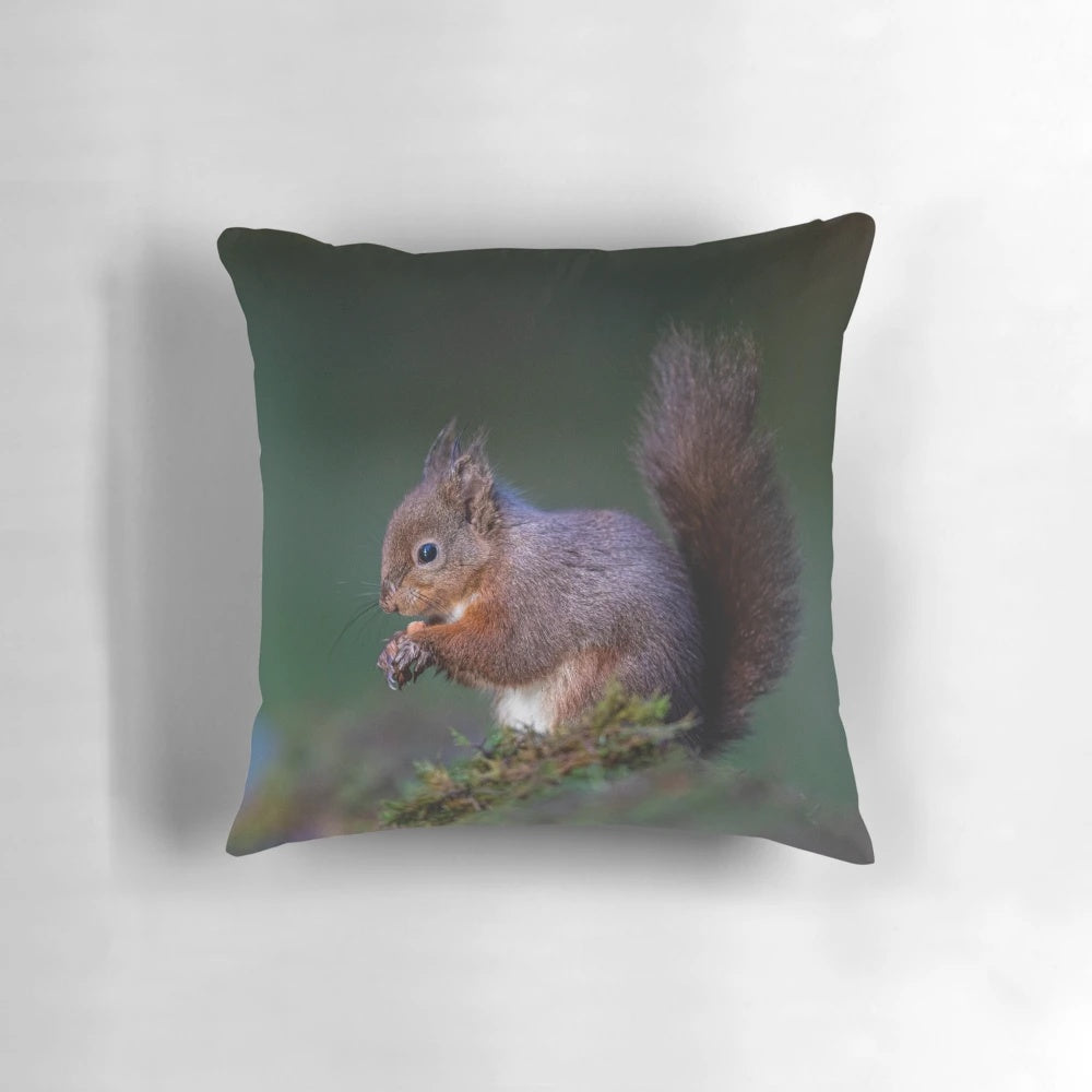Vibrant red squirrel design on a plush, soft throw pillow.