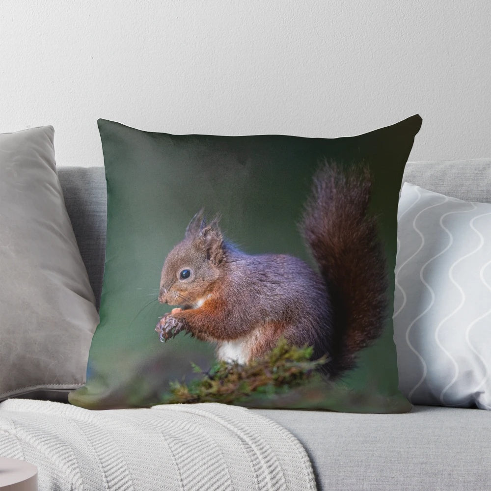 Vibrant red squirrel design on a plush, soft throw pillow.