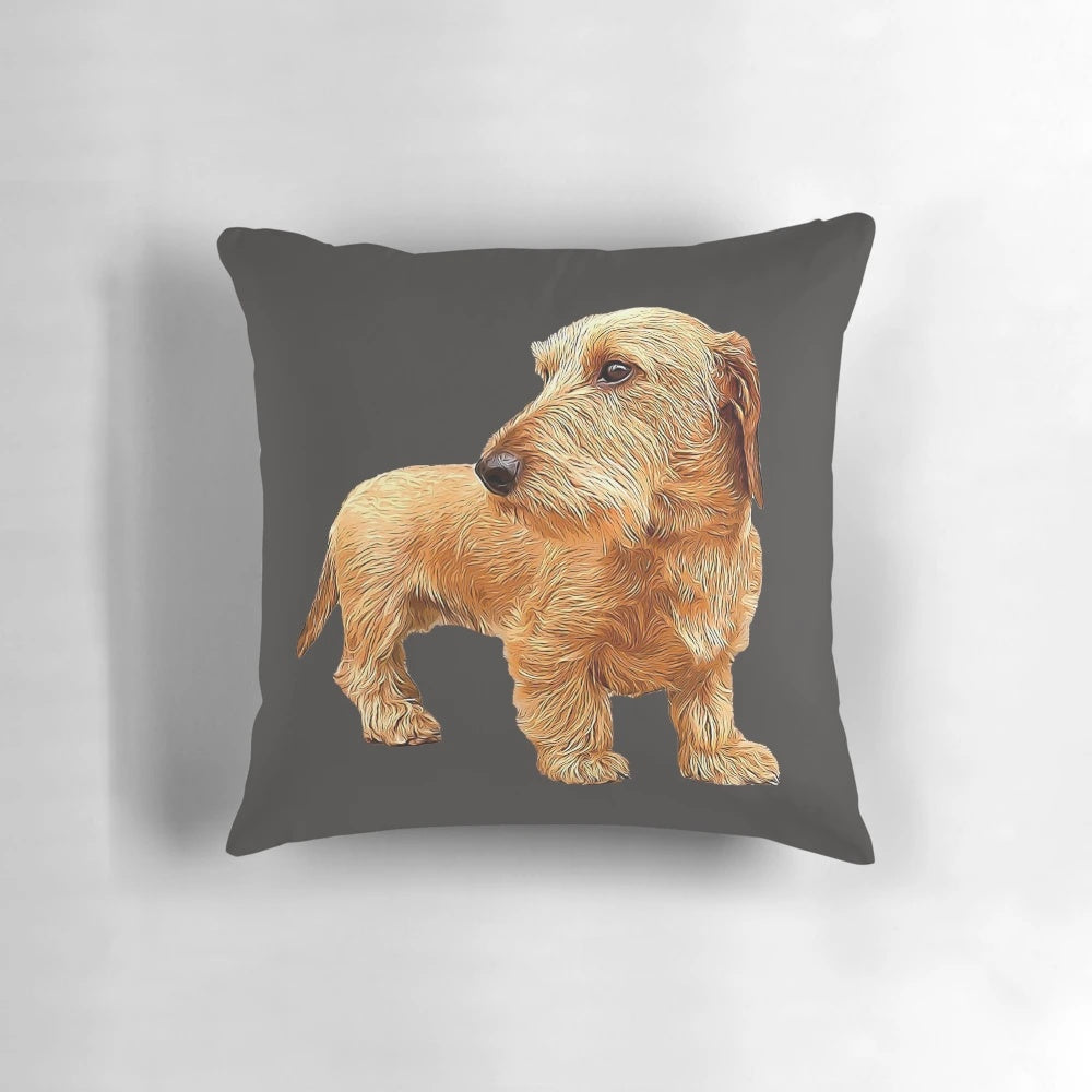A vibrant red wire haired dachshund printed on a plush pillow.