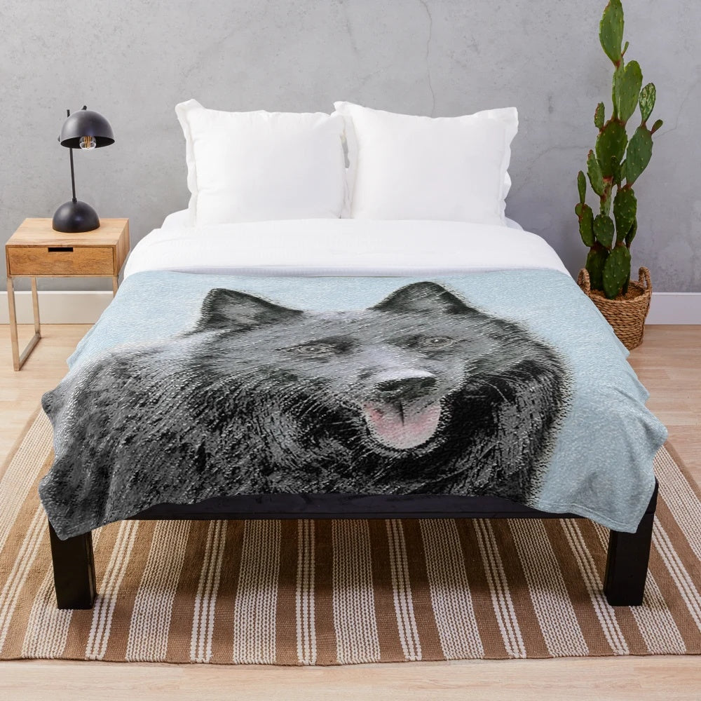 Schipperke dog portrait on a plush blanket