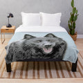 Schipperke dog portrait on a plush blanket