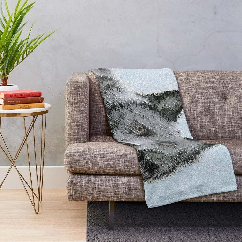 Schipperke dog portrait on a plush blanket