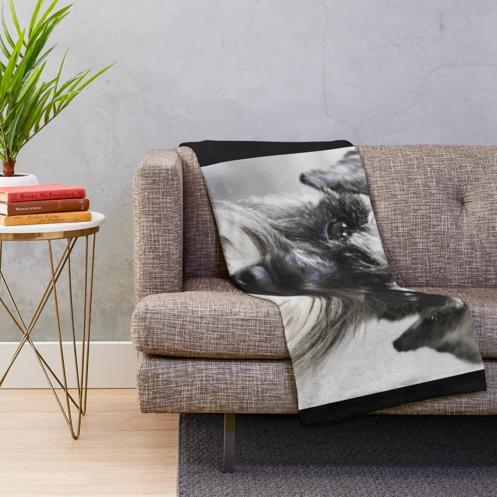 Soft and cuddly plush blanket featuring the adorable face of a Schnauzer dog