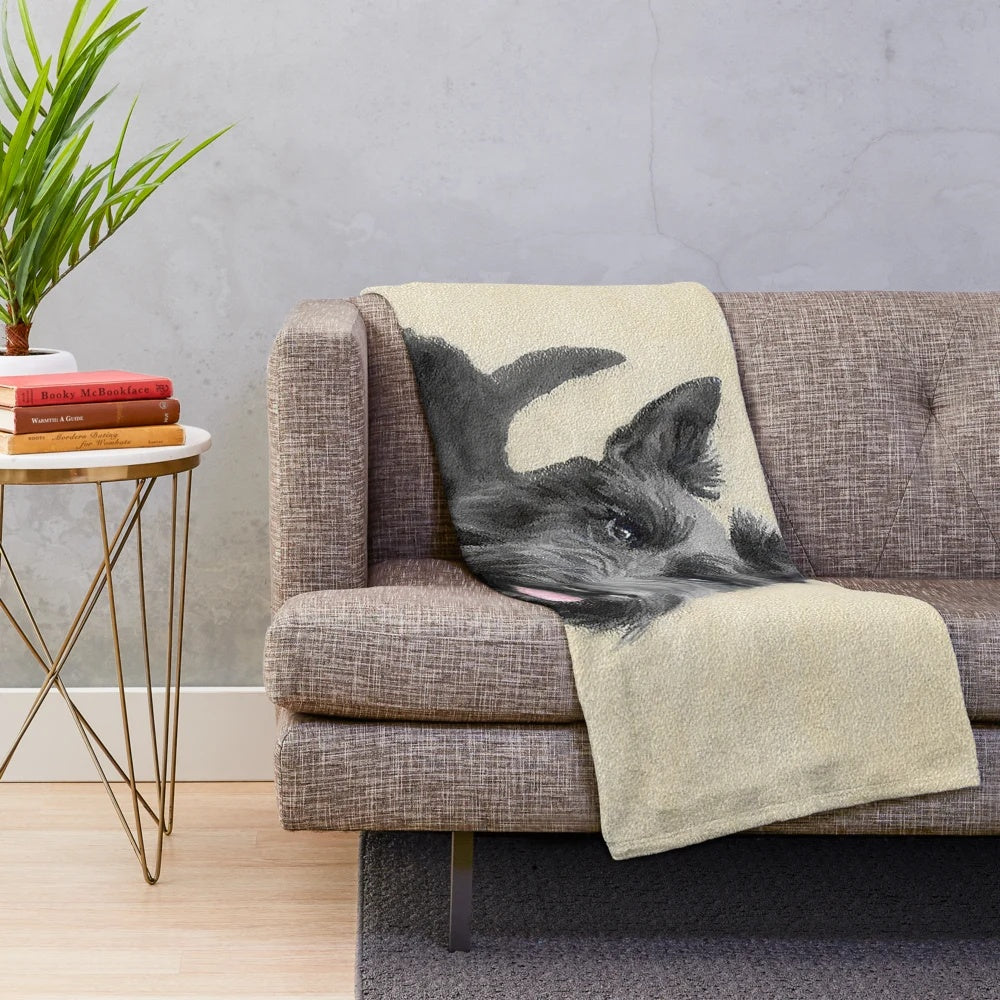 Scottish Terrier dog portrait on a plush blanket