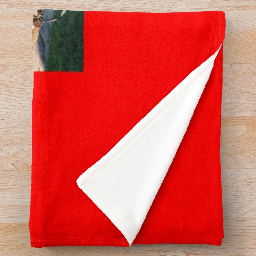 Soft and plush sea-themed blanket with underwater scenery