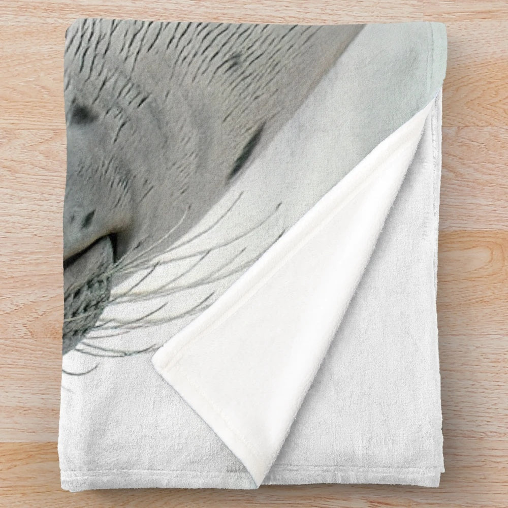Plush blanket featuring a sleeping seal in a natural setting