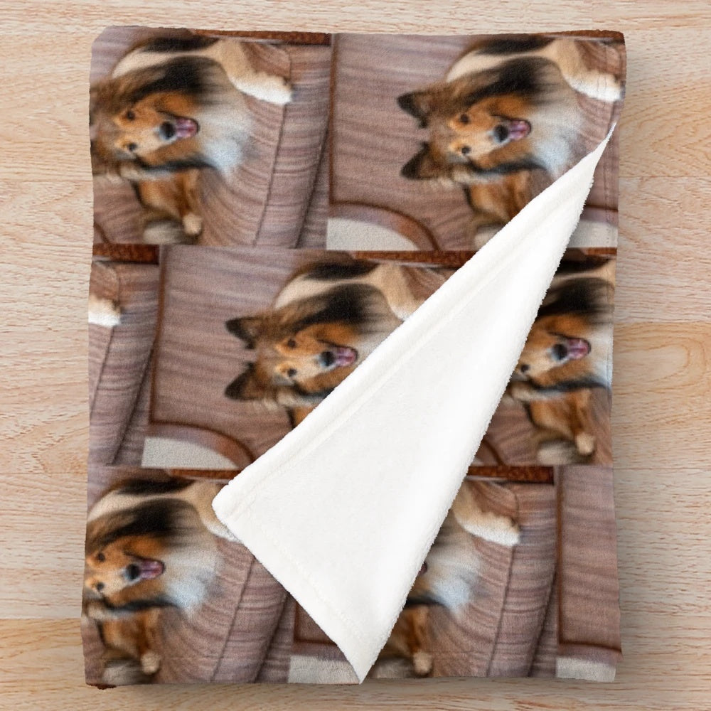 Sheltie dog resting on a soft, plush blanket
