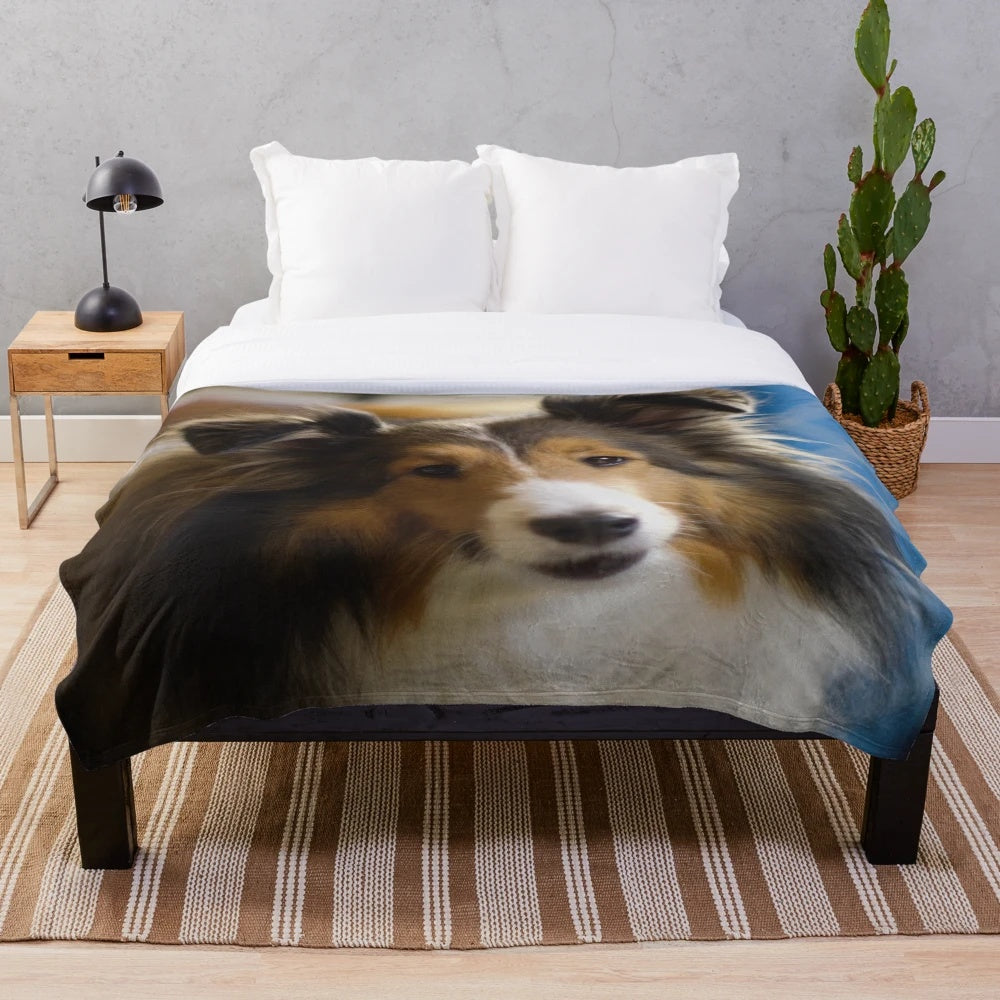Soft and Fluffy Shetland Sheepdog Plush Blanket
