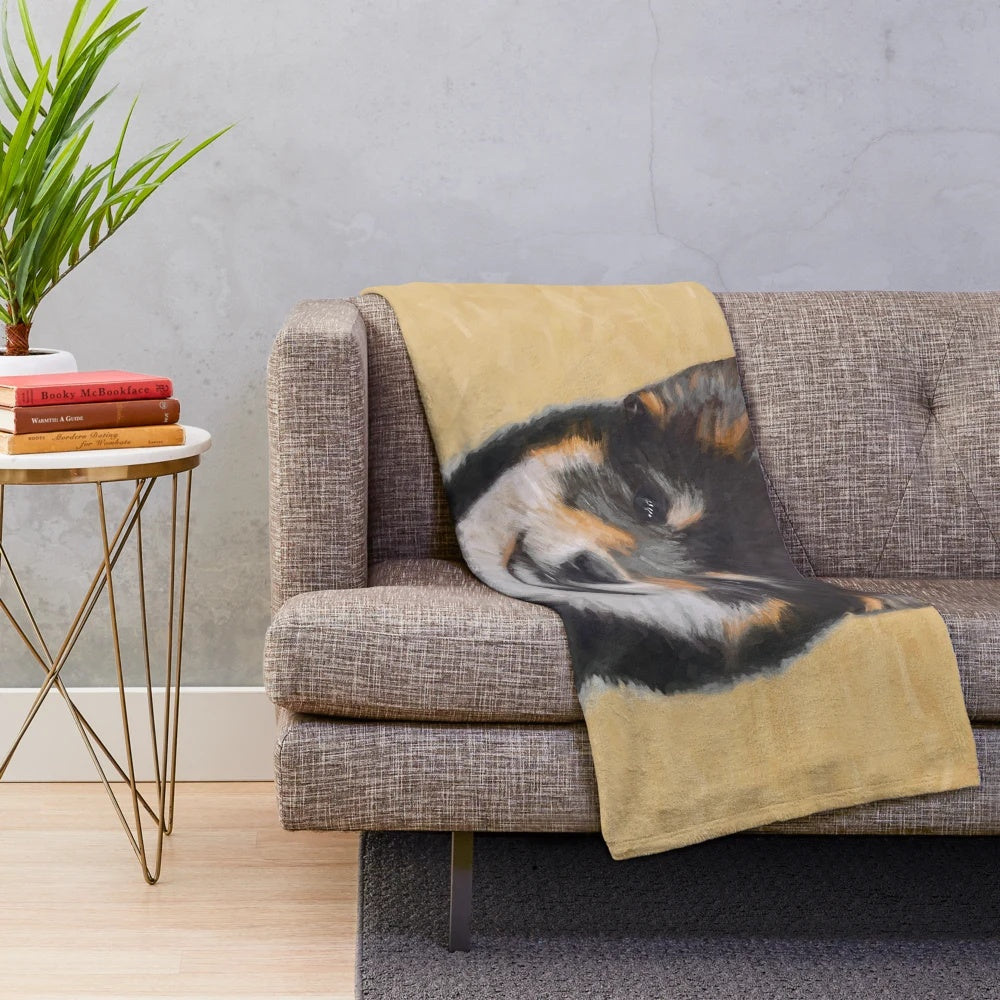 Shiba Inu dog portrait on a plush black and tan blanket