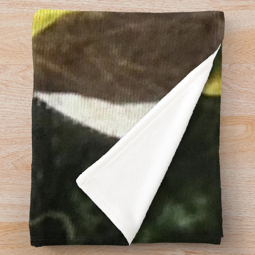 Shrek meme plush blanket featuring the beloved ogre character