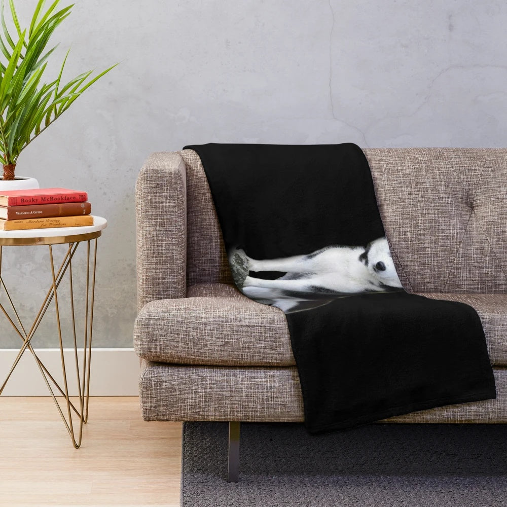 Soft and cuddly Siberian Husky plush blanket