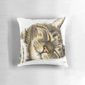 Soft and plush pillow featuring a sleeping tabby cat illustration, perfect for cat enthusiasts.