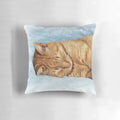 Soft, plush pillow featuring a sleeping ginger cat, perfect for cat lovers