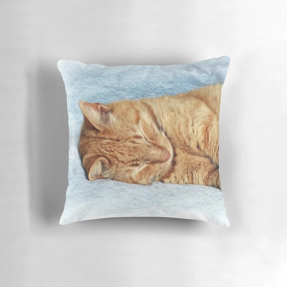 Soft, plush pillow featuring a sleeping ginger cat, perfect for cat lovers