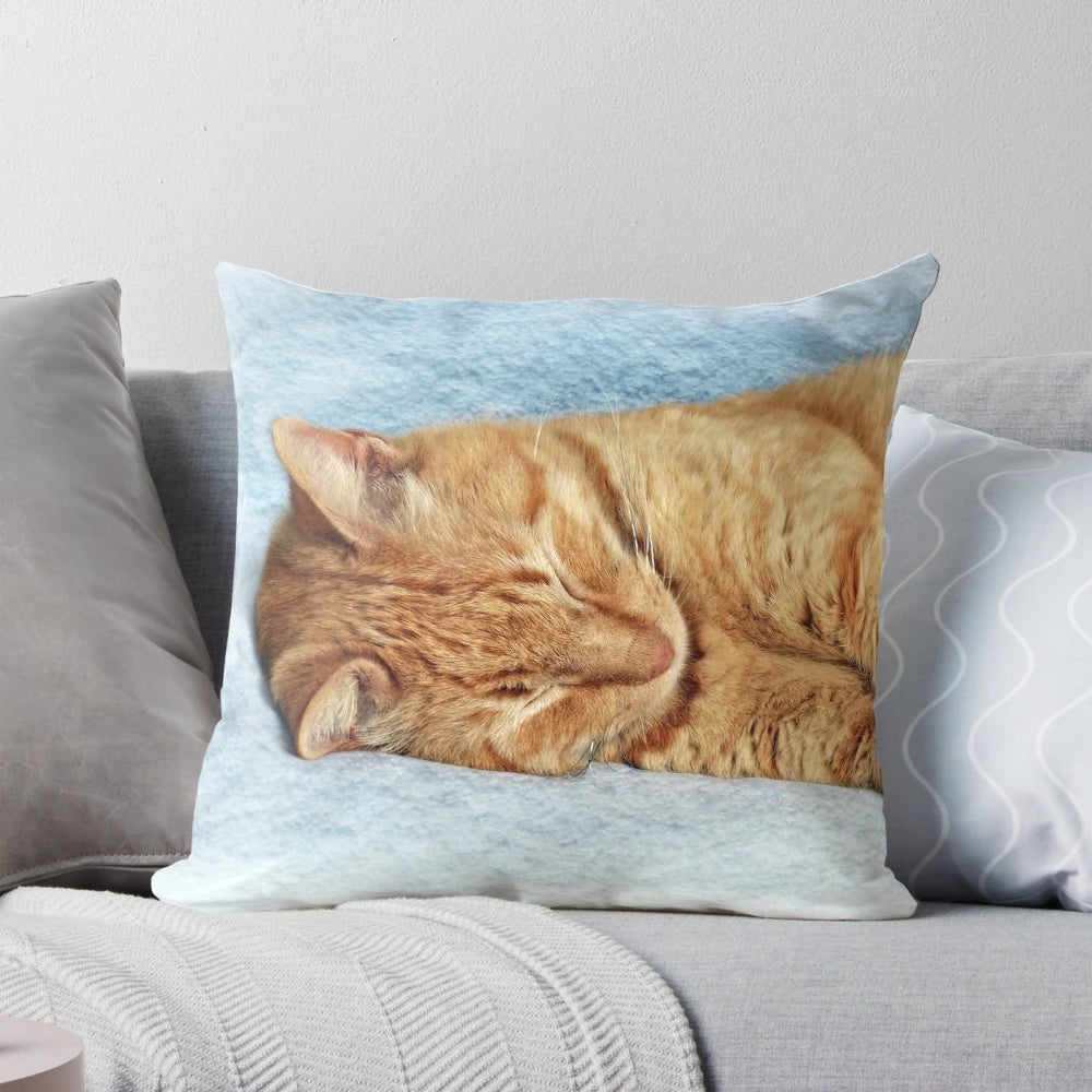 Soft, plush pillow featuring a sleeping ginger cat, perfect for cat lovers