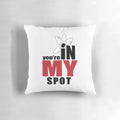Cozy Spot Pillow with Sheldon Cooper Inspired Design