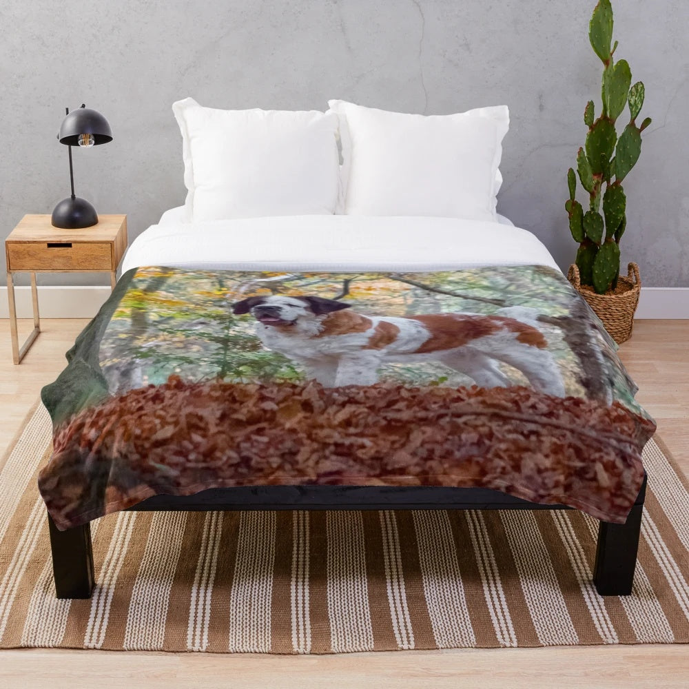 Soft and plush blanket featuring a St Bernard dog in an autumn woodland scene