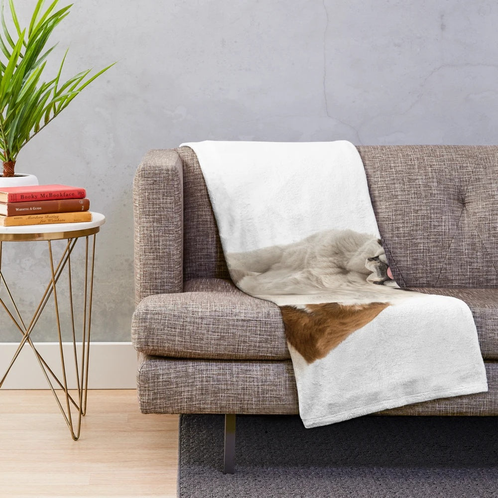A soft and warm plush blanket featuring a St. Bernard dog