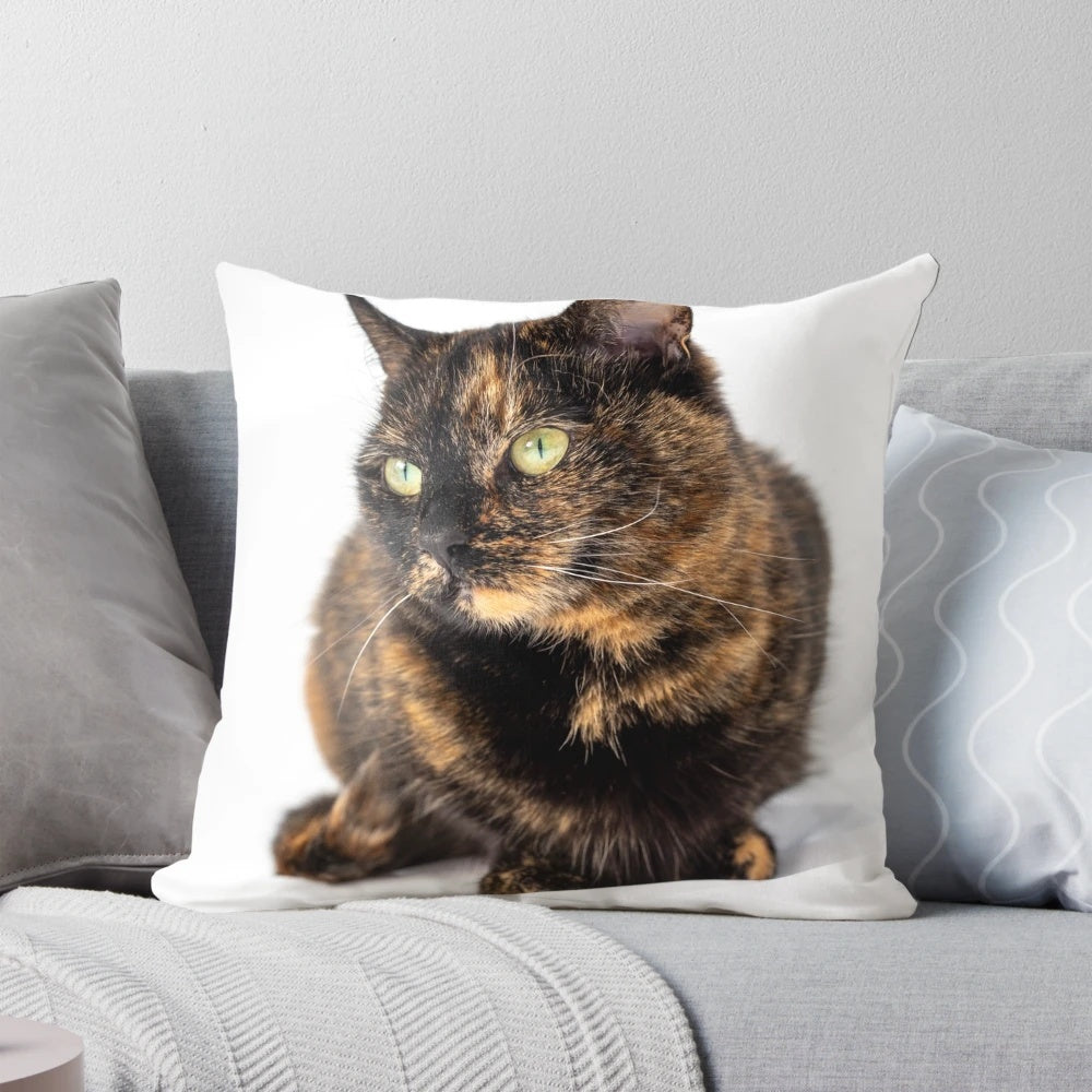 Soft, plush tortoiseshell cat pillow with realistic feline features