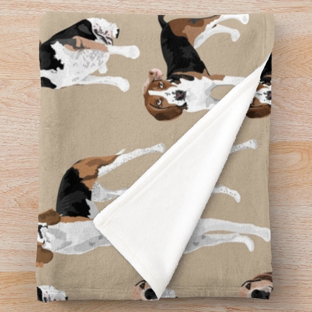 Treeing Walker Coonhound on a tan plush blanket